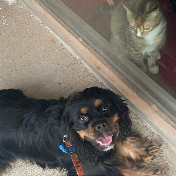 Meet your Posher, Jennifer - Picture 2 of 6